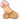 penus