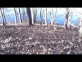 You Lost Me Cover- Christina Aguilera