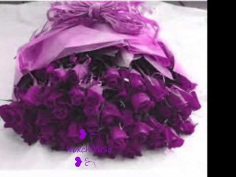 ✿*.❀.*✿﻿﻿мαѕнα αℓℓαн :::иαѕнєє∂:::✿*.❀.*✿