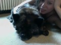 Doggie and me