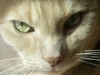 690829-114704436311456.gif 690829-114704436311456.gif
