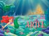 ariel_800x600_1_.jpg ariel_800x600_1_.jpg